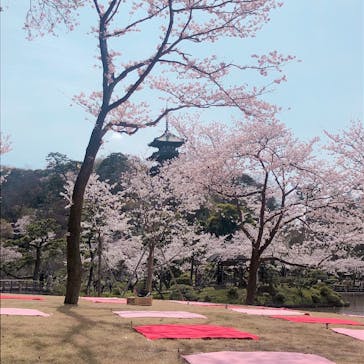 三溪園に投稿された画像（2022/4/2）