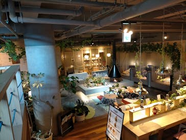 おふろcafé ハレニワの湯に投稿された画像（2022/4/2）