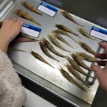 横浜・八景島シーパラダイスに投稿された画像（2022/4/2）