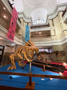 国立科学博物館に投稿された画像（2022/4/2）