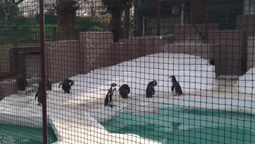 天王寺動物園に投稿された画像（2022/4/2）