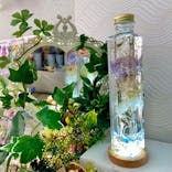 ずこうしつ〜sugamo〜に投稿された画像（2022/4/2）