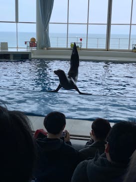 アクアワールド茨城県大洗水族館に投稿された画像（2022/4/2）