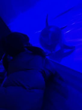 アクアワールド茨城県大洗水族館に投稿された画像（2022/4/2）