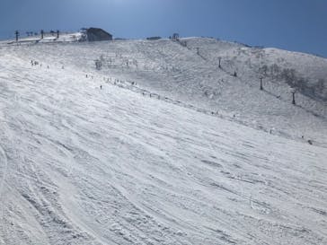 白馬八方尾根スキー場に投稿された画像（2022/4/2）