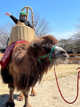 那須どうぶつ王国に投稿された画像（2022/4/2）
