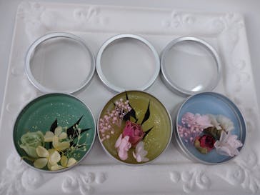 ずこうしつ〜sugamo〜に投稿された画像（2022/4/2）