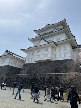 小田原城に投稿された画像（2022/4/2）