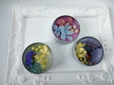 ずこうしつ〜sugamo〜に投稿された画像（2022/4/2）