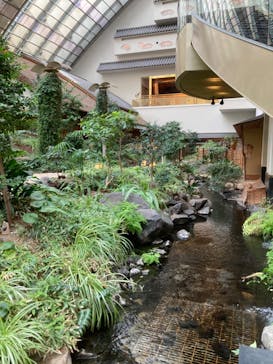 ホテル雅叙園東京に投稿された画像（2022/4/2）