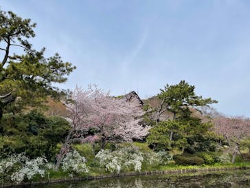 三溪園に投稿された画像（2022/4/2）