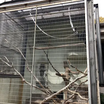 天王寺動物園に投稿された画像（2022/4/2）