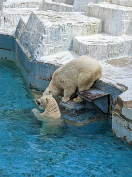 天王寺動物園に投稿された画像（2022/4/2）