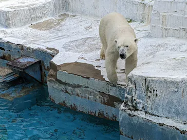 天王寺動物園に投稿された画像（2022/4/2）