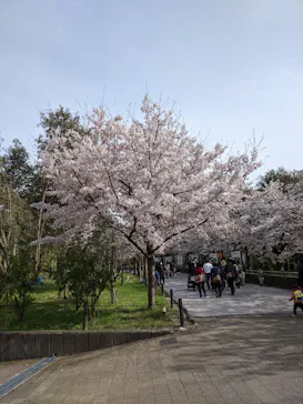 天王寺動物園に投稿された画像（2022/4/2）