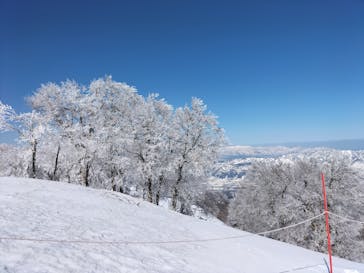 野沢温泉スキー場に投稿された画像（2022/4/2）