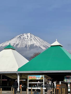 まかいの牧場に投稿された画像（2022/4/2）