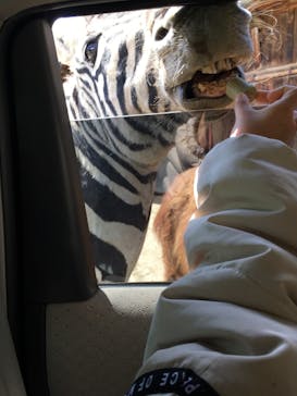 東北サファリパークに投稿された画像（2022/4/2）