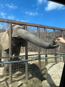 東北サファリパークに投稿された画像（2022/4/2）