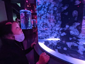 マクセル アクアパーク品川に投稿された画像（2022/4/2）