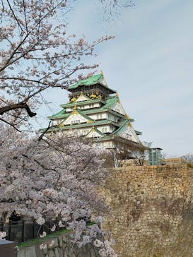 大阪城公園 西の丸庭園に投稿された画像（2022/4/2）