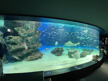 サンシャイン水族館に投稿された画像（2022/4/2）