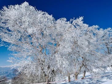 野沢温泉スキー場に投稿された画像（2022/4/2）