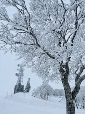 野沢温泉スキー場に投稿された画像（2022/4/2）