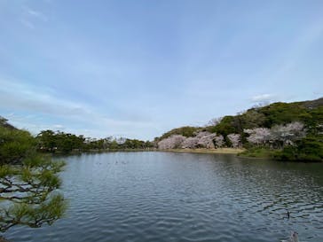 三溪園に投稿された画像（2022/4/2）