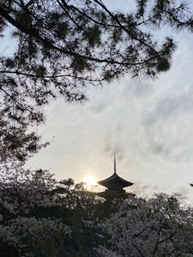 三溪園に投稿された画像（2022/4/2）