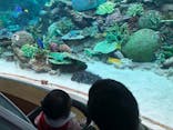 名古屋港水族館に投稿された画像（2022/4/2）