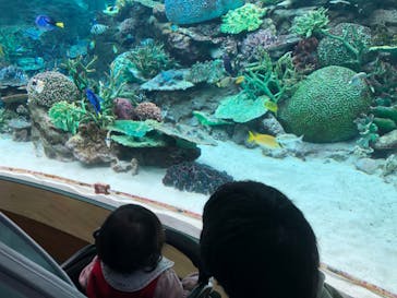 名古屋港水族館に投稿された画像（2022/4/2）