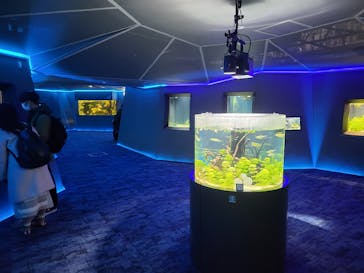 カワスイ 川崎⽔族館に投稿された画像（2022/4/2）