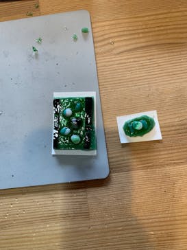 京都水族館×ニデック京都タワーに投稿された画像（2022/4/2）