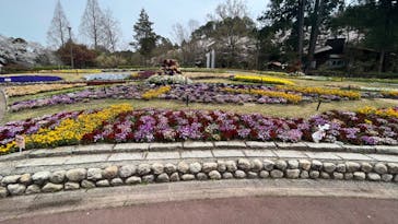 大阪府立花の文化園に投稿された画像（2022/4/2）