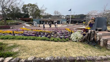 大阪府立花の文化園に投稿された画像（2022/4/2）