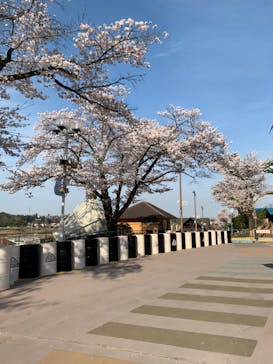 東京サマーランドに投稿された画像（2022/4/2）