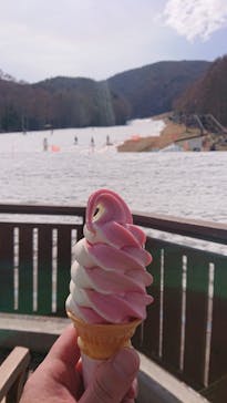 富士見パノラマリゾートに投稿された画像（2022/4/2）