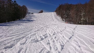 富士見パノラマリゾートに投稿された画像（2022/4/2）