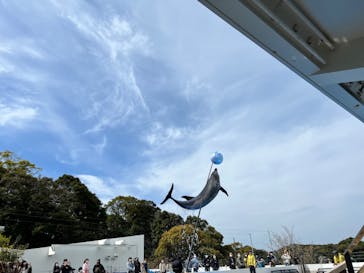 九十九島動植物園森きららに投稿された画像（2022/4/2）