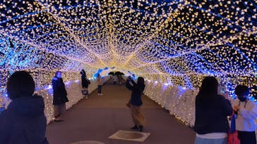 東京メガイルミに投稿された画像（2022/4/2）