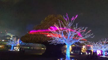 東京メガイルミに投稿された画像（2022/4/2）