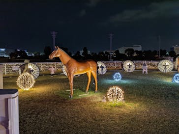 東京メガイルミに投稿された画像（2022/4/2）