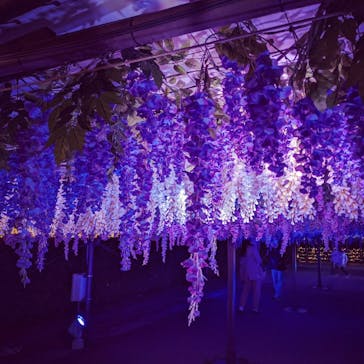 東京メガイルミに投稿された画像（2022/4/2）