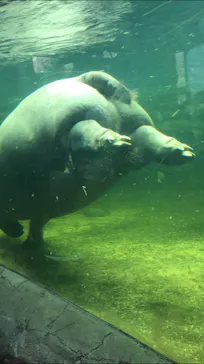 天王寺動物園に投稿された画像（2022/4/2）