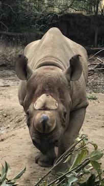 天王寺動物園に投稿された画像（2022/4/2）