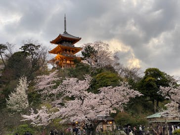 三溪園に投稿された画像（2022/4/2）