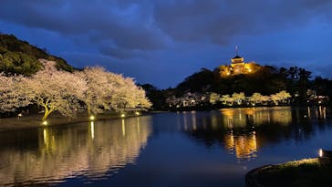 三溪園に投稿された画像（2022/4/2）