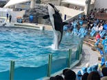 鴨川シーワールドに投稿された画像（2022/4/2）