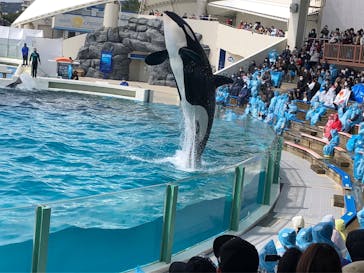 鴨川シーワールドに投稿された画像（2022/4/2）